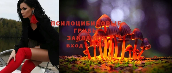 спиды Лагань