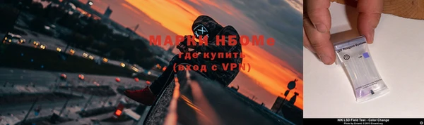 спиды Лагань