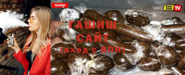 сатива Лабытнанги