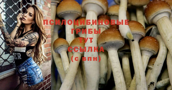 метадон Ладушкин