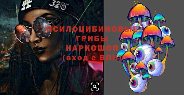 сатива Лабытнанги