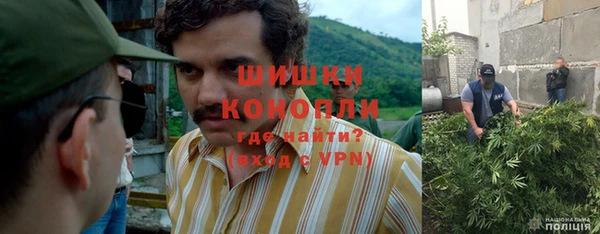 спиды Лагань