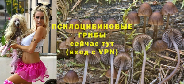 сатива Лабытнанги