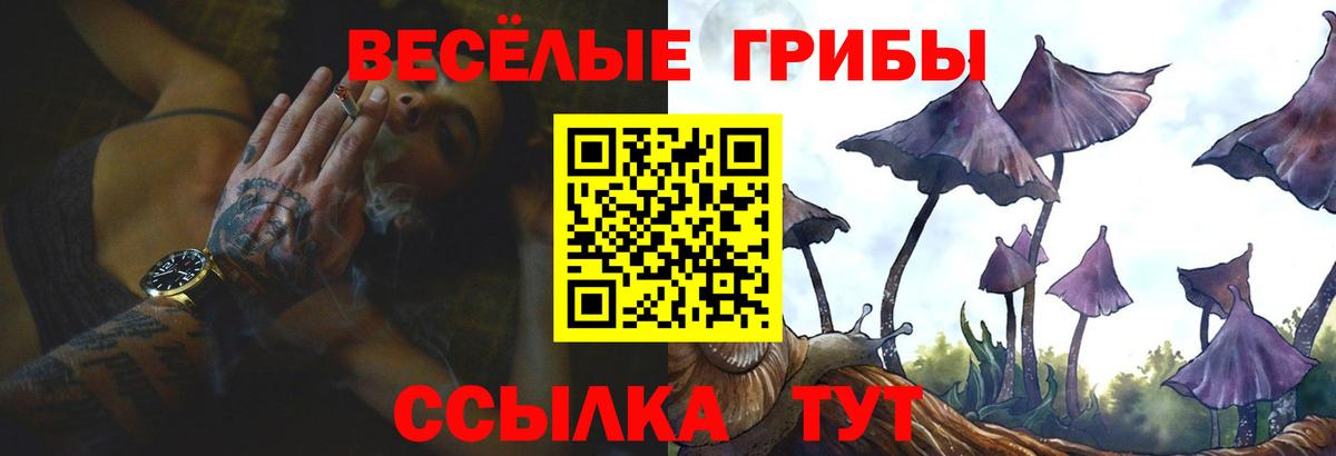 хочу   Вход с VPN  Миллерово  Псилоцибиновые грибы MAGIC MUSHROOMS 